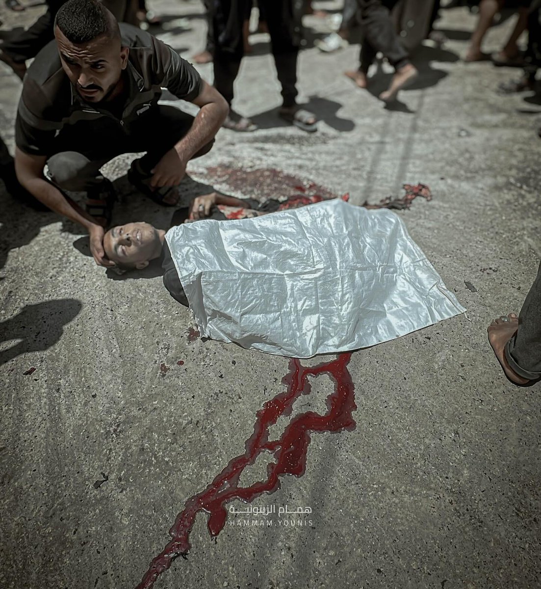 Timesofgaza's tweet photo. Gaza. https://t.co/F0kowB6lyX