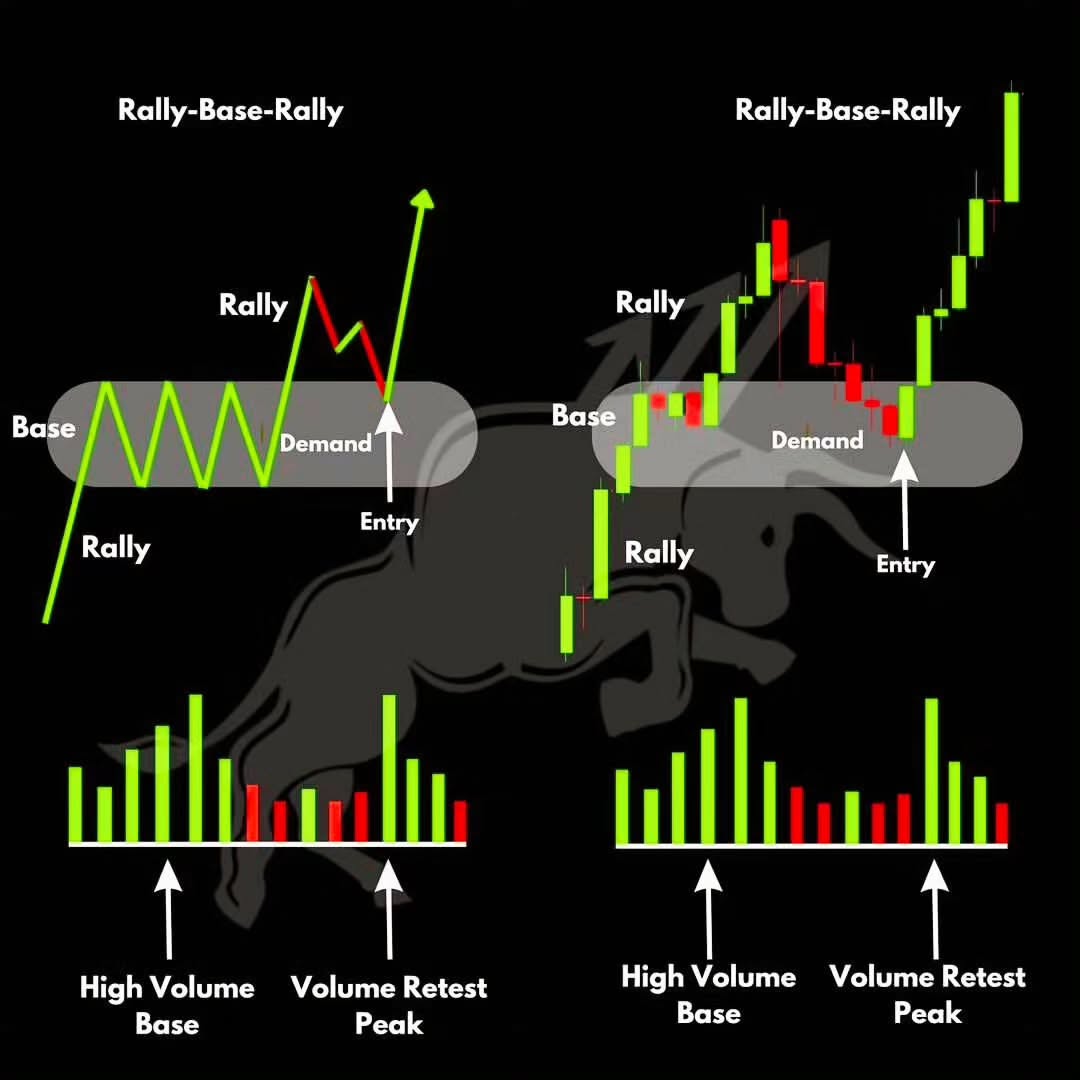 mybookmojo's tweet photo. Rally Base Rally https://t.co/ZglzT4VXOi