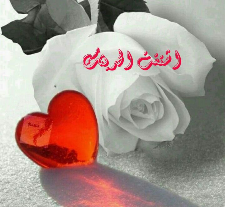 الحياهـ حلوهـ tweet media