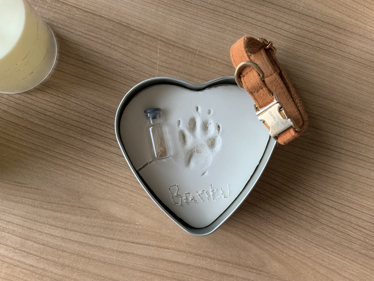 Lieve Bantu ik zal altijd koesteren wat wij saampjes hadden een heel avontuur hebben we beleefd altijd waren we saampjes en wat vond je dat fijn.je bent  en  blijft  mijn  kleine  meisje  voor  altijd  ik  draag  je  elke  dag  in  mijn  hart  mee  lieverdje