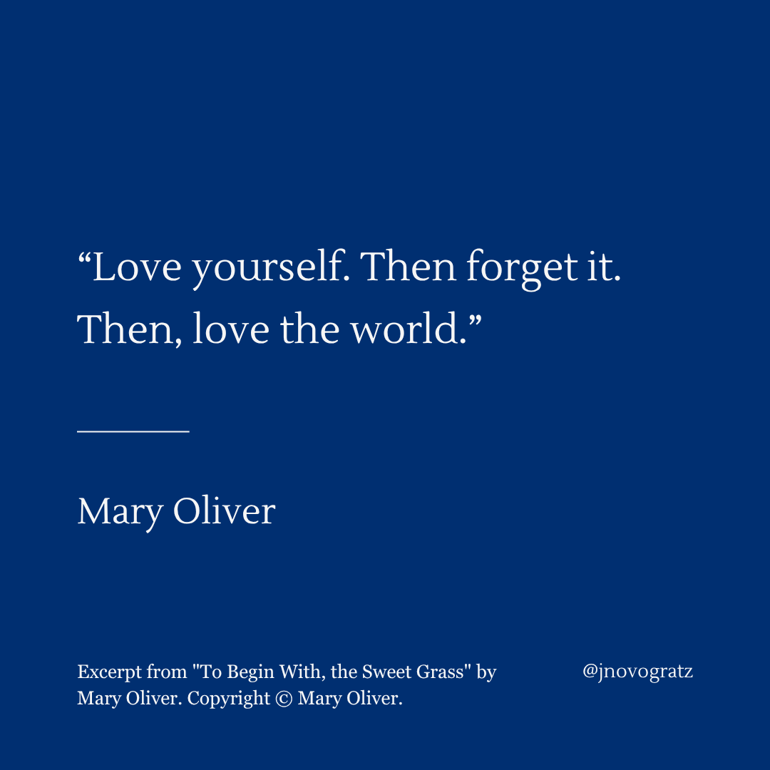 I've been struck lately by how many people focus on capturing moments on their phones rather than experiencing them, unaware of everything around them. Be interested in the world and look outward. The more we understand that we have the world within us and focus on loving the