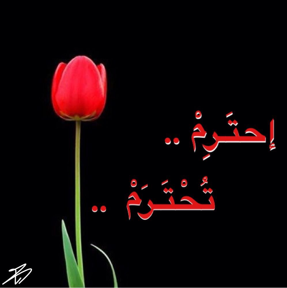 الاحترام المتبادل هو أساس العلاقات الإنسانية السليمة، حيث يتضمن تقدير الآخرين وحقوقهم ومشاعرهم مع توقع المعاملة ذاتها. 
جميل” ان تعرف حدودك.
والأجمل أن لا تتعداها!

جميل” أن تعرف ما لك .
والأجمل أن تعرف ما عليك!
.
جميل” أن تعطي رأيك.
ولأجمل أن تسمع رأي غيرك!