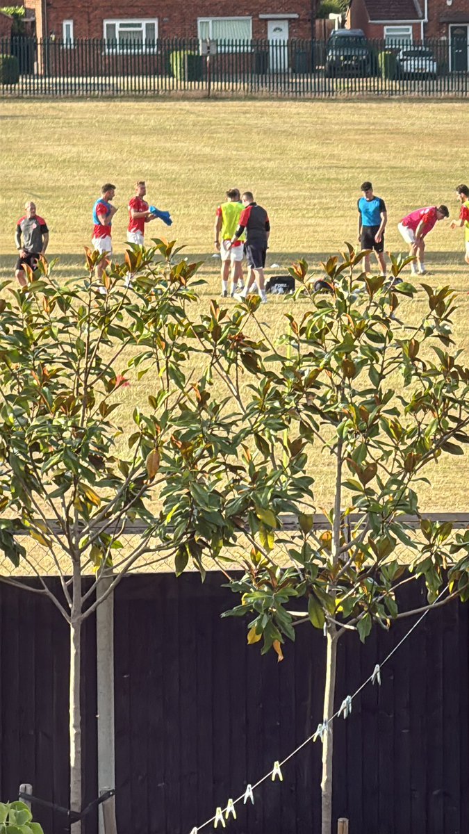 Ryan Beaumont tweet media