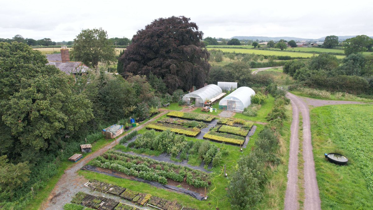 🌼 This Saturday! Join us at Bickley Hall Farm for our nursery plant sale 🌼

🌿 Wildflower plug plants grown from locally sourced seed
📅  Saturday the 28th June
🕙 10am–3pm
📍 Bickley Hall Farm, Malpas SY14 8EF

👉 Plant list: ow.ly/Zi2y50WfwgP