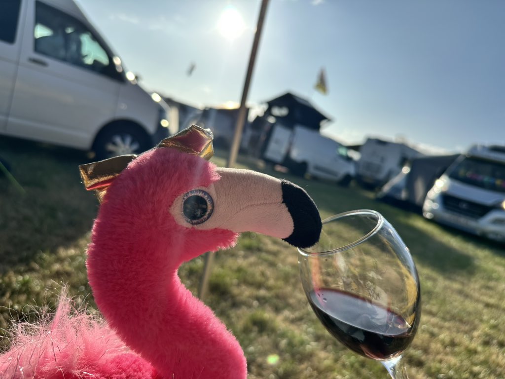 The camper van field is looking pretty good this evening 

#glastofanniemac🦩 #fannieflamingo🦩 
#fanniemac #glastofannie #glastonbury2025 #glasto2025 #glastonbury #glastonburyfestival #glasto #glastofest