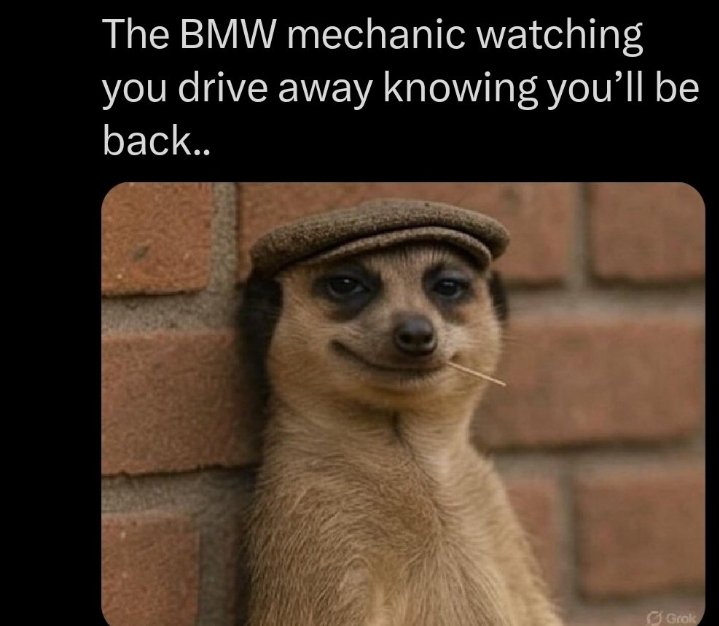 stan1000x's tweet photo. The Meerkat Meme

#MEERKAT https://t.co/C7jLOTOo6b