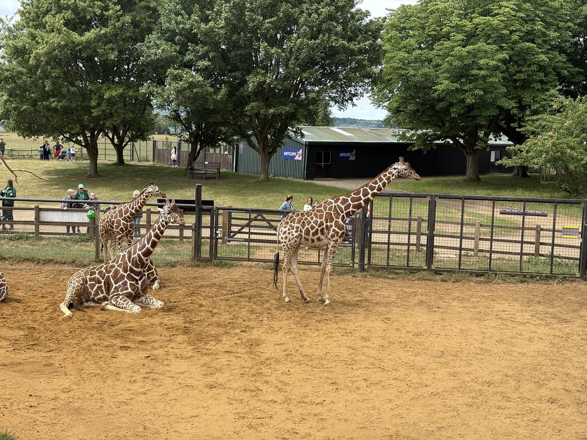GeogJhn's tweet photo. Day 2 of fieldwork celebrating #NationalFestivalofFieldwork with Year 9 @ZSLWhipsnadeZoo 
They were fantastic all day, thank you @thejhnschool Geographers! 
@The_GA https://t.co/ghq6tfjTyO