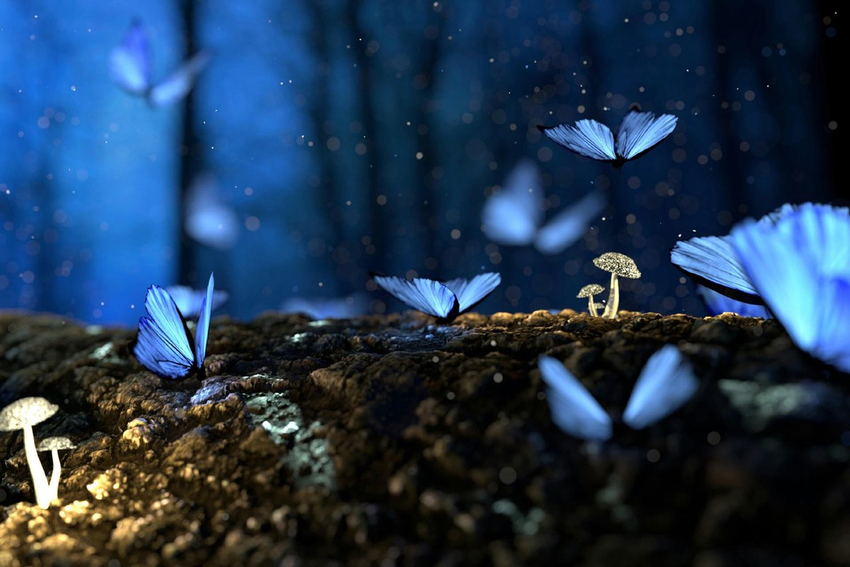 Graham K tweet media