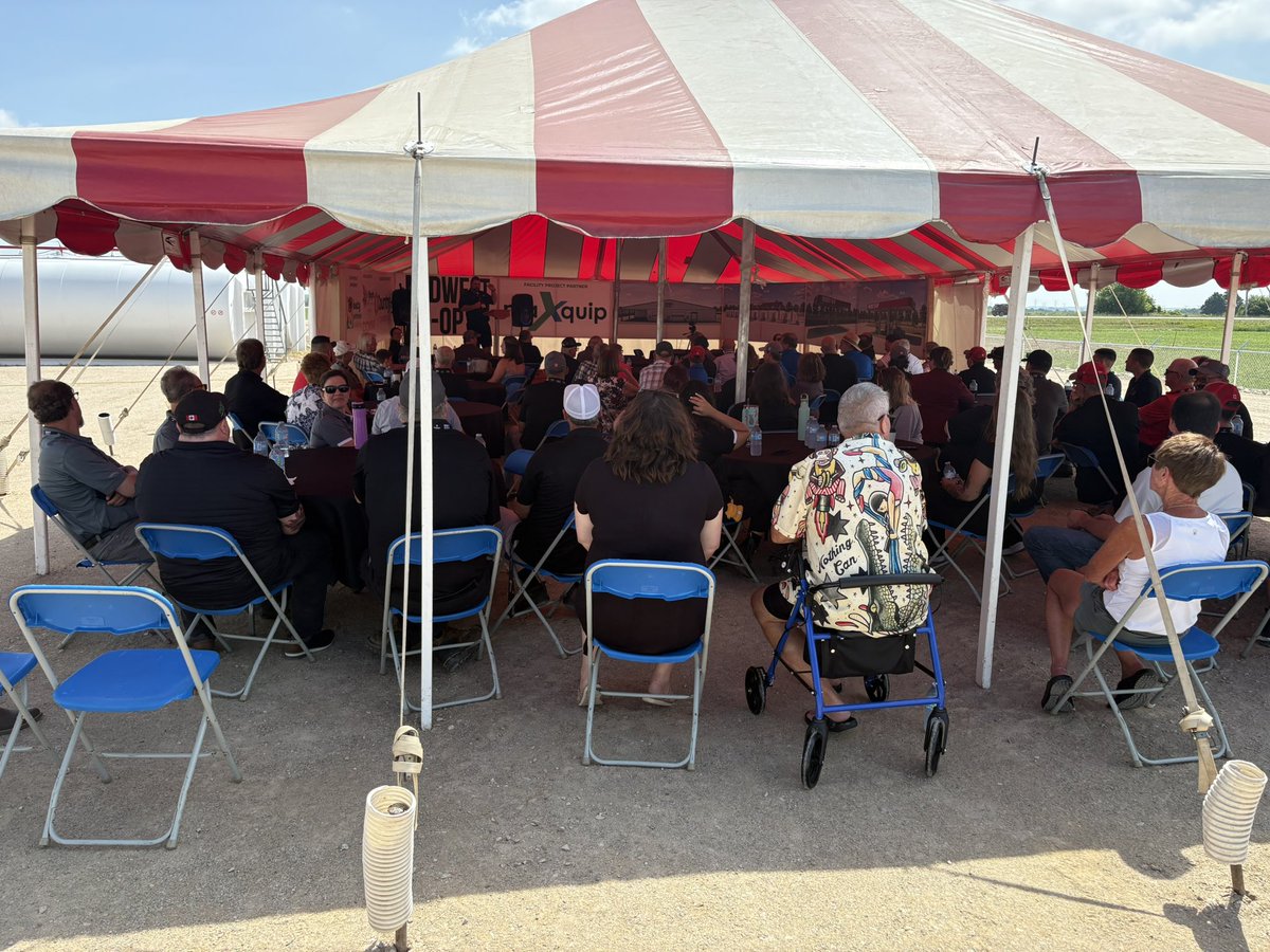 Matthew Rae tweet media