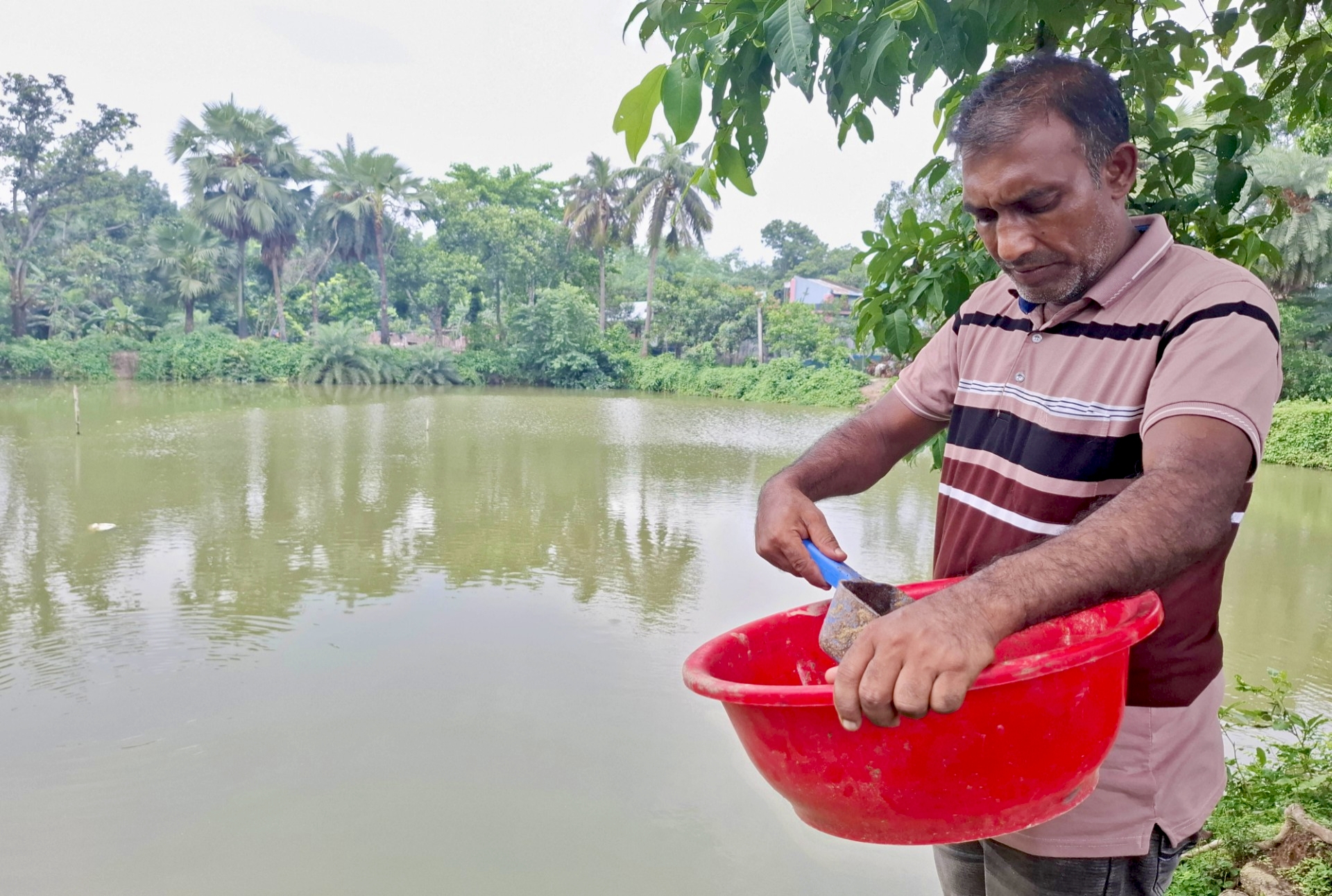 নওগাঁয় উচ্ছিষ্ট বর্জ্য থেকে মাছের খাবার তৈরি: মাসে আয় ৬০ হাজার টাকা