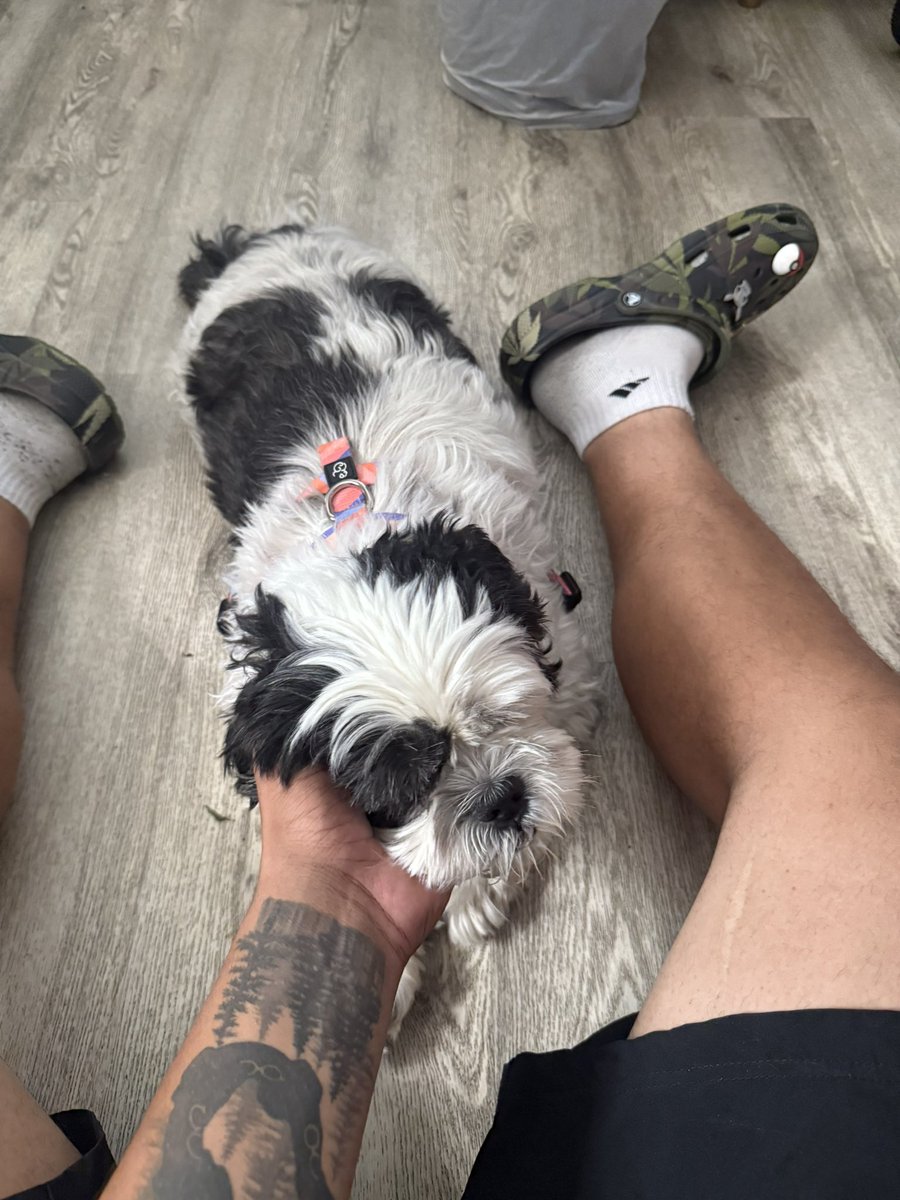 ray 🐉 tweet media