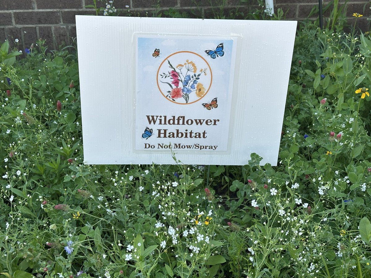 I loved today’s visit to Pleasure Ridge Park Head Start/Early Head Start! 

Because #ItsNextYearAlready, <a href="/OVECkyed/">@OVECky</a> is…

Hiring- apply.appone.com/job/684c6cb2a6…

and 

Enrolling- ovecheadstart.org/program-applic…

Help spread the word!