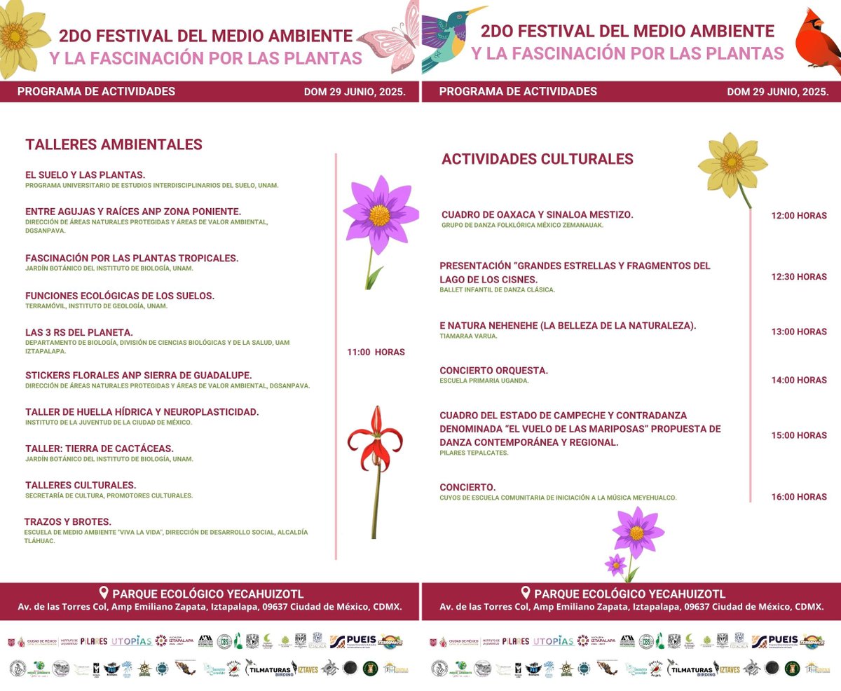 Los esperamos el próximo domingo 29 de junio en el Área Natural protegida de Santa Catarina, en el Segundo Festival del Medio Ambiente y la Fascinación por las Plantas, en las que participaremos con varias actividades.