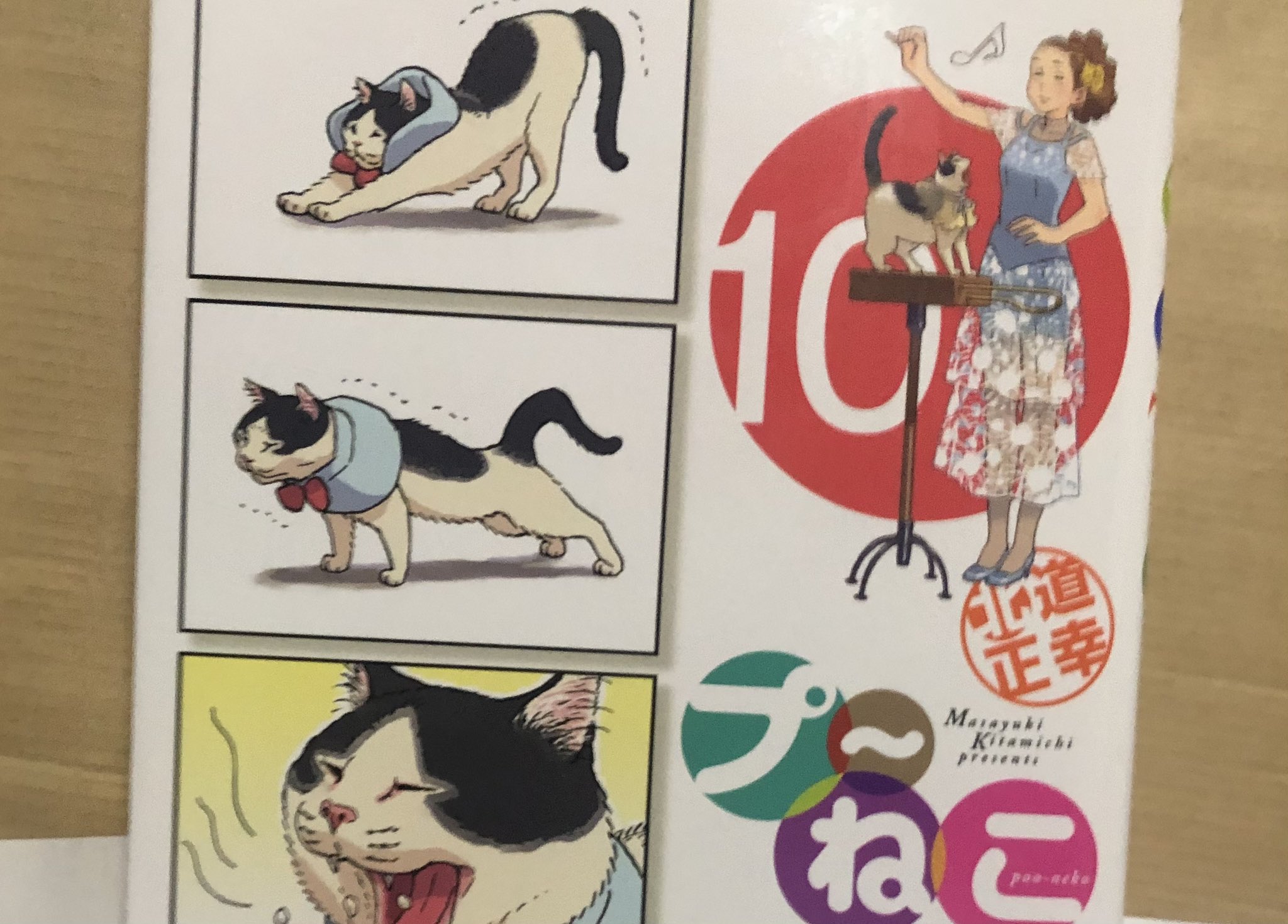 羊毛フェルト オーダー猫 Happyプロフ読んでね様