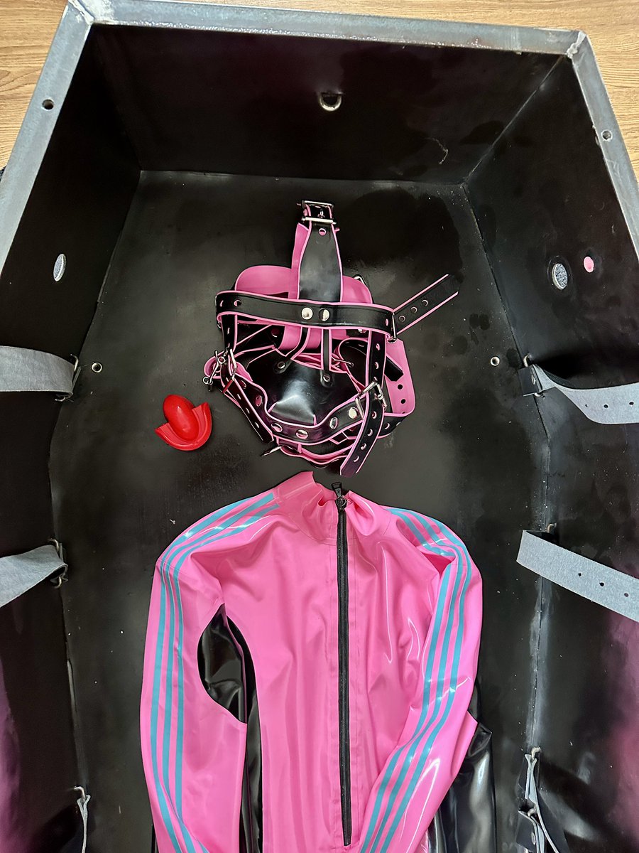 The kitchen table is gone.

In its place: a steel box. Long. Coffin-shaped.
Straps hang from its sides like restraints waiting for purpose.

You hesitate. Why is it here?

Sir steps behind you. “You’ve found it,” he says. “Your new place.”

Inside the box: a black and pink rubber