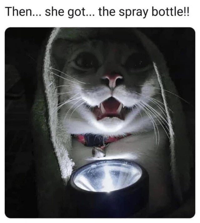Everyone likes scary stories.
