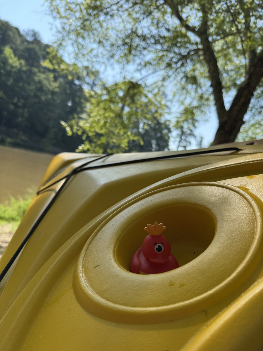 Melissa Lopez (@mlopez8science) on Twitter photo We Ducked into Summer <a href="/eastcarymiddle/">East Cary Magnet Middle School</a> Looking 👀 forward to seeing where staff’s rubber ducks adventures this summer!! We Ducked into Summer <a href="/eastcarymiddle/">East Cary Magnet Middle School</a> Looking 👀 forward to seeing where staff’s rubber ducks adventures this summer!!