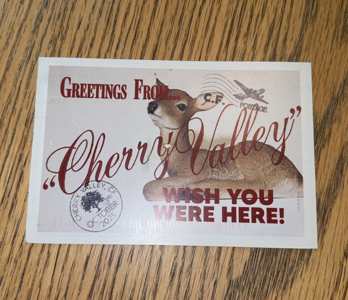 Madison (@madisonlynny) on Twitter photo the very best mail to come home to!!! 3 things I love: <a href="/carterxfaith/">Carter Faith</a>, cherie, and cherry valley ❣️ the very best mail to come home to!!! 3 things I love: <a href="/carterxfaith/">Carter Faith</a>, cherie, and cherry valley ❣️