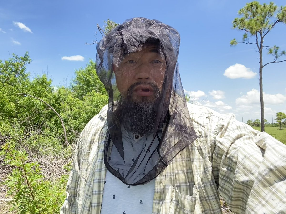 Had to wear extra protective clothing when recording ambience sounds. The mosquitoes are Everywhere!!
.
#watsonwu #soundeffects #ambience #mosquito #mosquitos #soundeffectsrecordingartist #sounddesigner #soundeffectsrecordist #sounddesign #florida #traveler