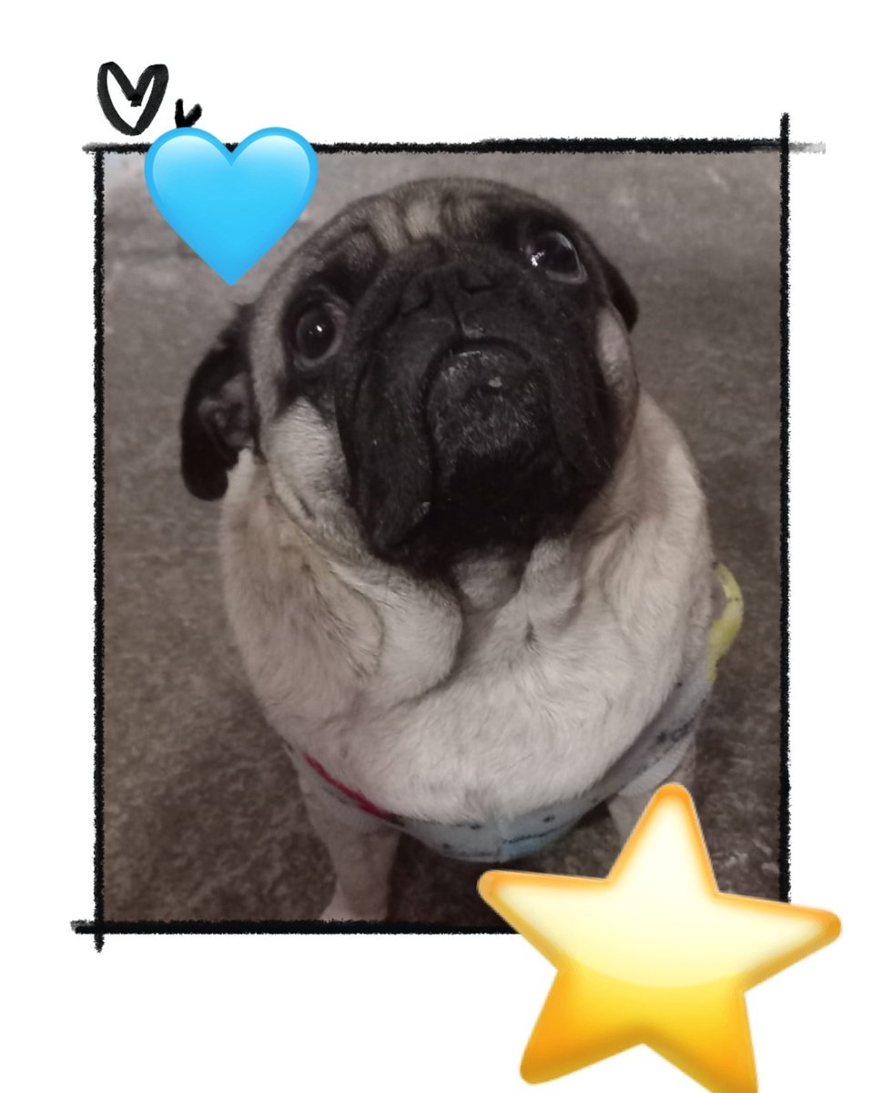 La felicidad de todos los días para mis sobrinos y para mí ✨💕🥰✨