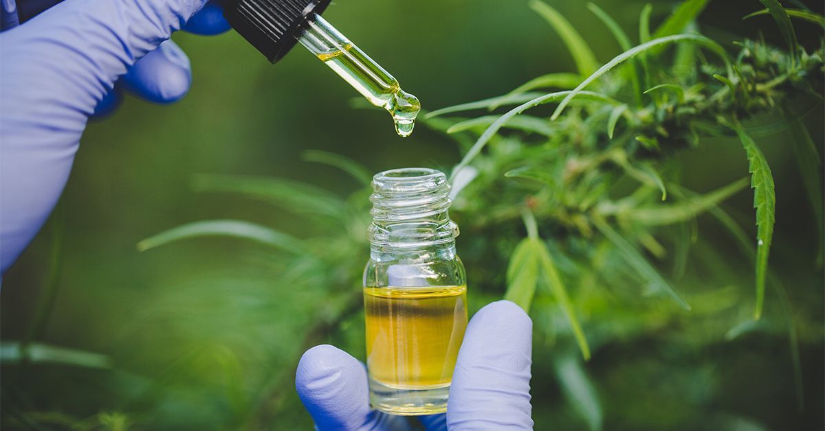 Researchers at the Center for Medicinal Cannabis Research have found that CBD could help reduce problematic behaviors in autistic boys, providing insights into the potential benefits and limitations of CBD as a therapeutic intervention for autism.

📰 tinyurl.com/p7znfdv5