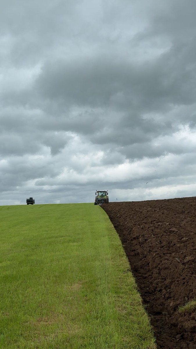 Back on the plough today…

This was planned to go in to SFI and a Herbal ley. 
But when the funding was cut we changed the plan.

So now, it will be a 5 year mix of fast growing grasses for crop and graze. 

The only thing in our control are the livestock so feed them well.