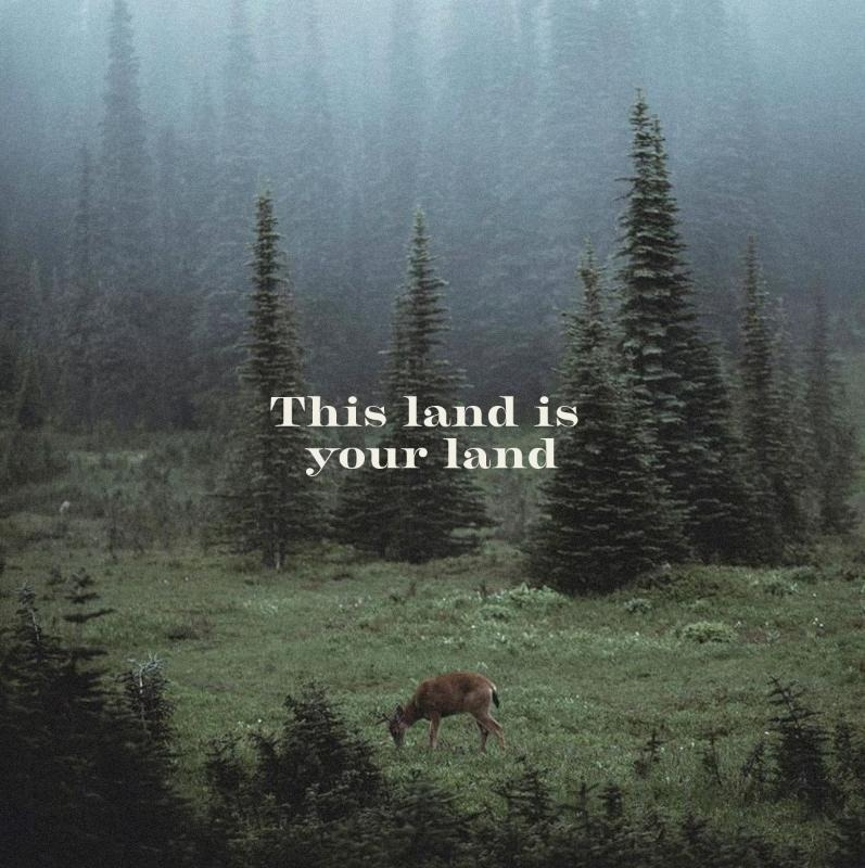 The Bull Moose Project (@bullmooseproj) on Twitter photo Thank you for your attention to this matter! Thank you for your attention to this matter!