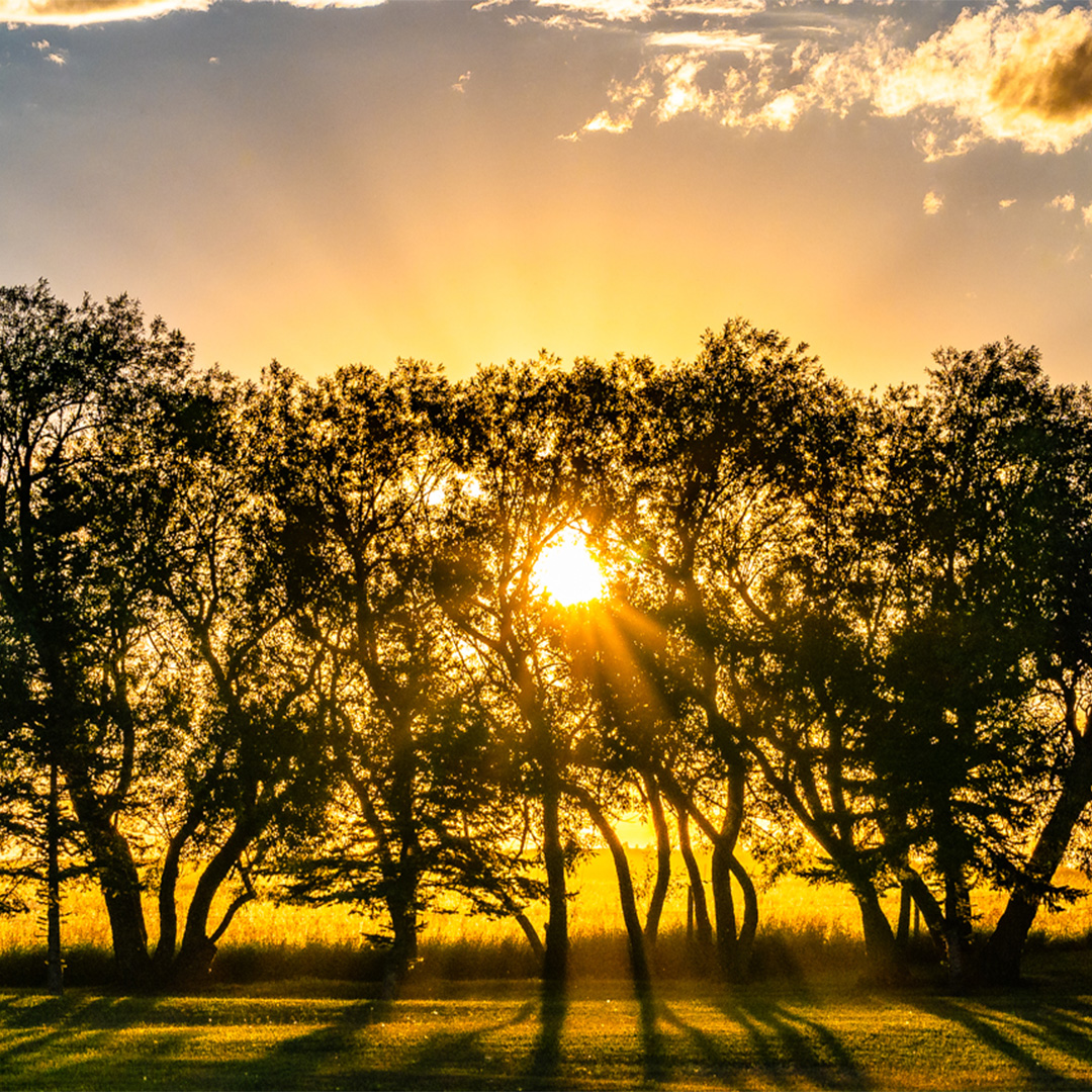 Sunsets in Saskatchewan &gt; ____________