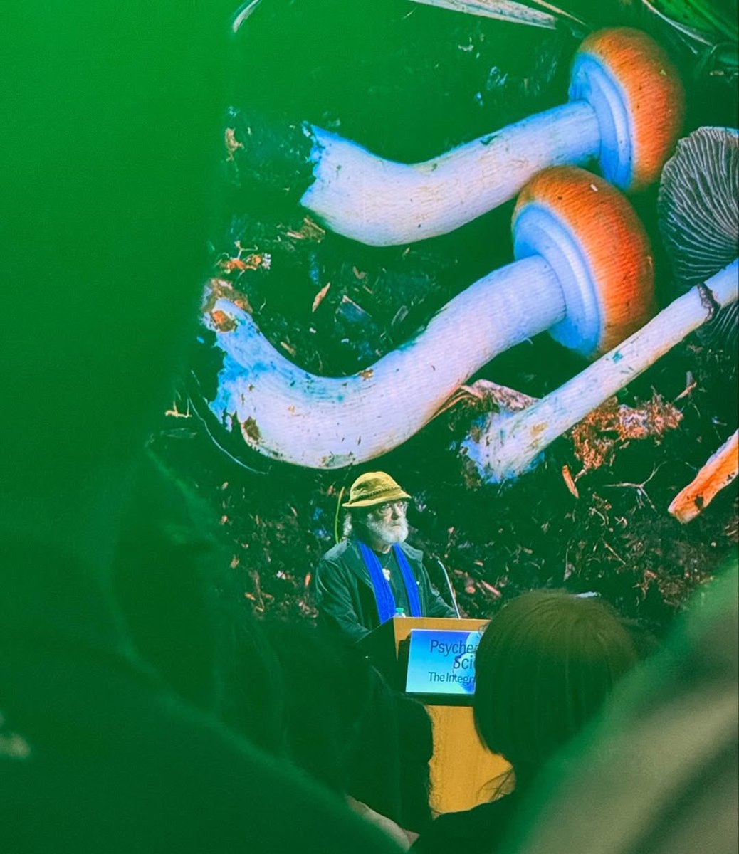 PaulStamets's tweet image. Deep gratitude to @MAPS and @RickDoblin for hosting an extraordinary convergence of minds at Psychedelic Science in Denver.
It was an honor to contribute to this historic gathering uniting researchers, clinicians, activists, and myconauts alike, all committed to advancing the…
