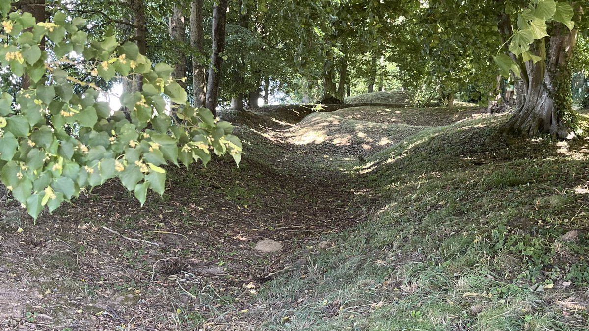 Tim Thurlow tweet media