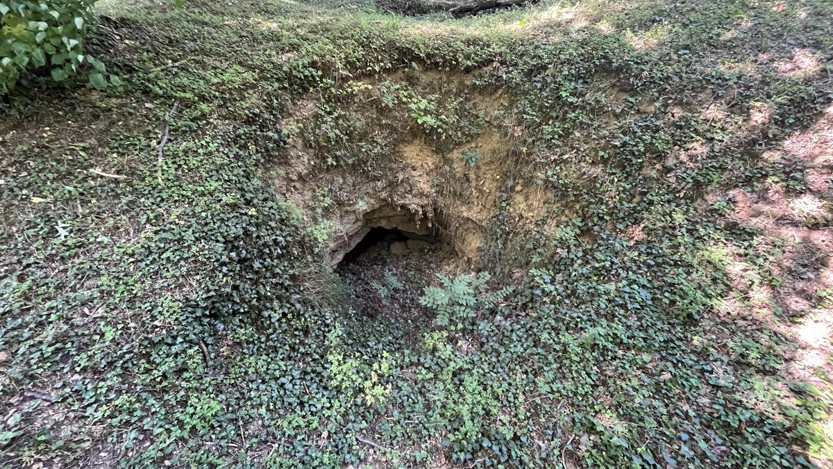 Tim Thurlow tweet media