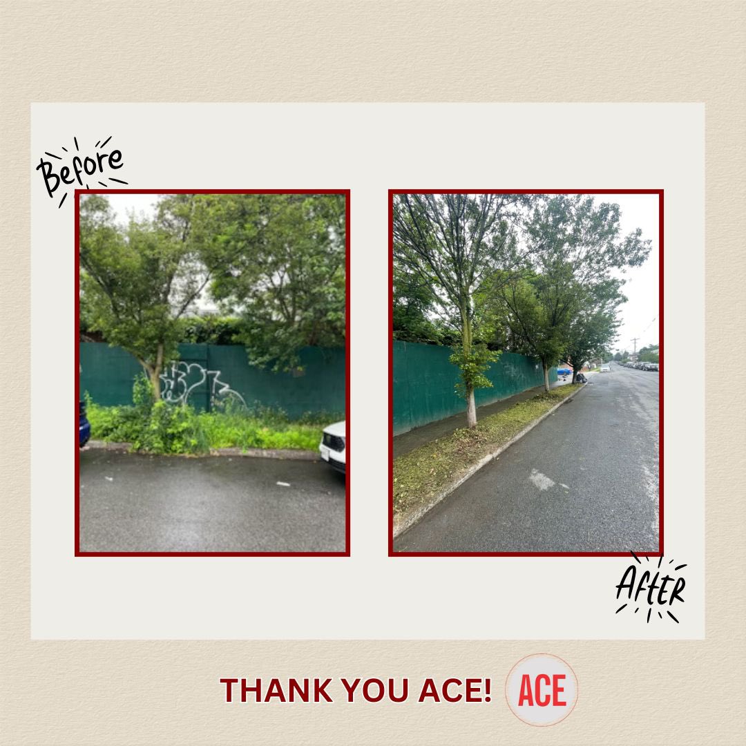 CM_KMarmorato's tweet photo. Thank you to @aceprogramsny for your continued efforts in keeping District 13 clean! 🧹💪 Your hard work helps make our community a better place every day — we’re grateful! #District13 #ACEteam https://t.co/NxPgNg3inP