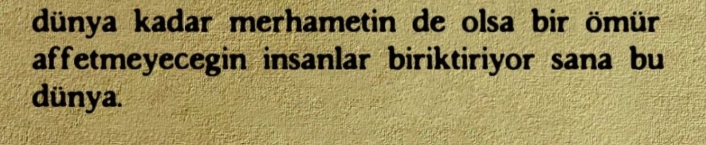 '🐅 (@userrr347896) on Twitter photo 