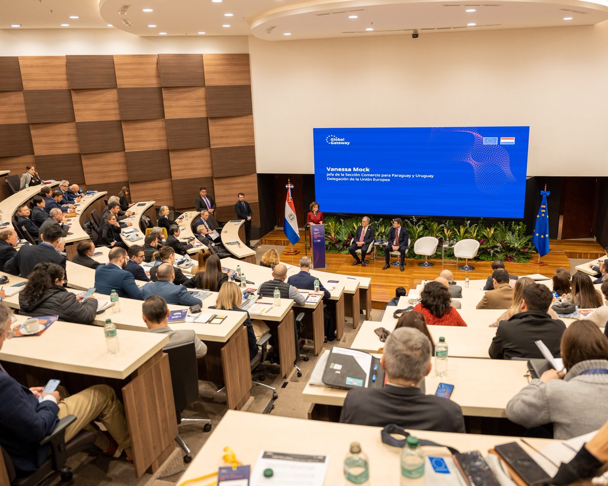 UE en Paraguay tweet media