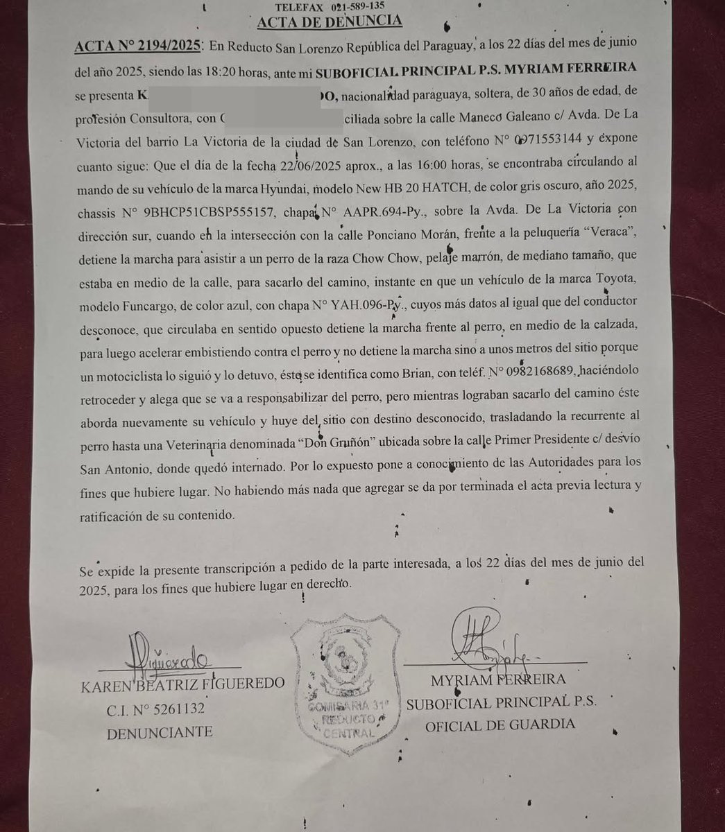 ▶️INDIGNANTE | 😠

😢El domingo, en la Avda. De la Victoria – Tape Guazú, un cachorro Chow Chow desorientado fue brutalmente atropellado por un conductor que huyó sin asistirlo.

🐶🏥El perrito estaba internado en la veterinaria Don Gruñón, gracias a la ayuda de Karen Figueredo,