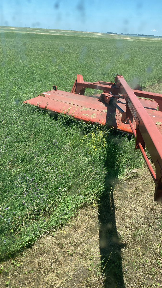 Getting dry so I brought out the rain maker.