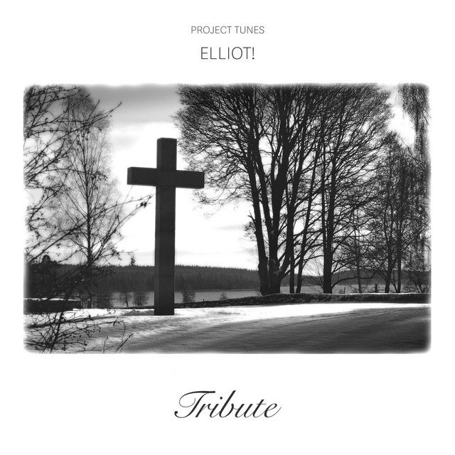 Tell us what you think about "Tribute" by Elliot!! buff.ly/MaFZa8w