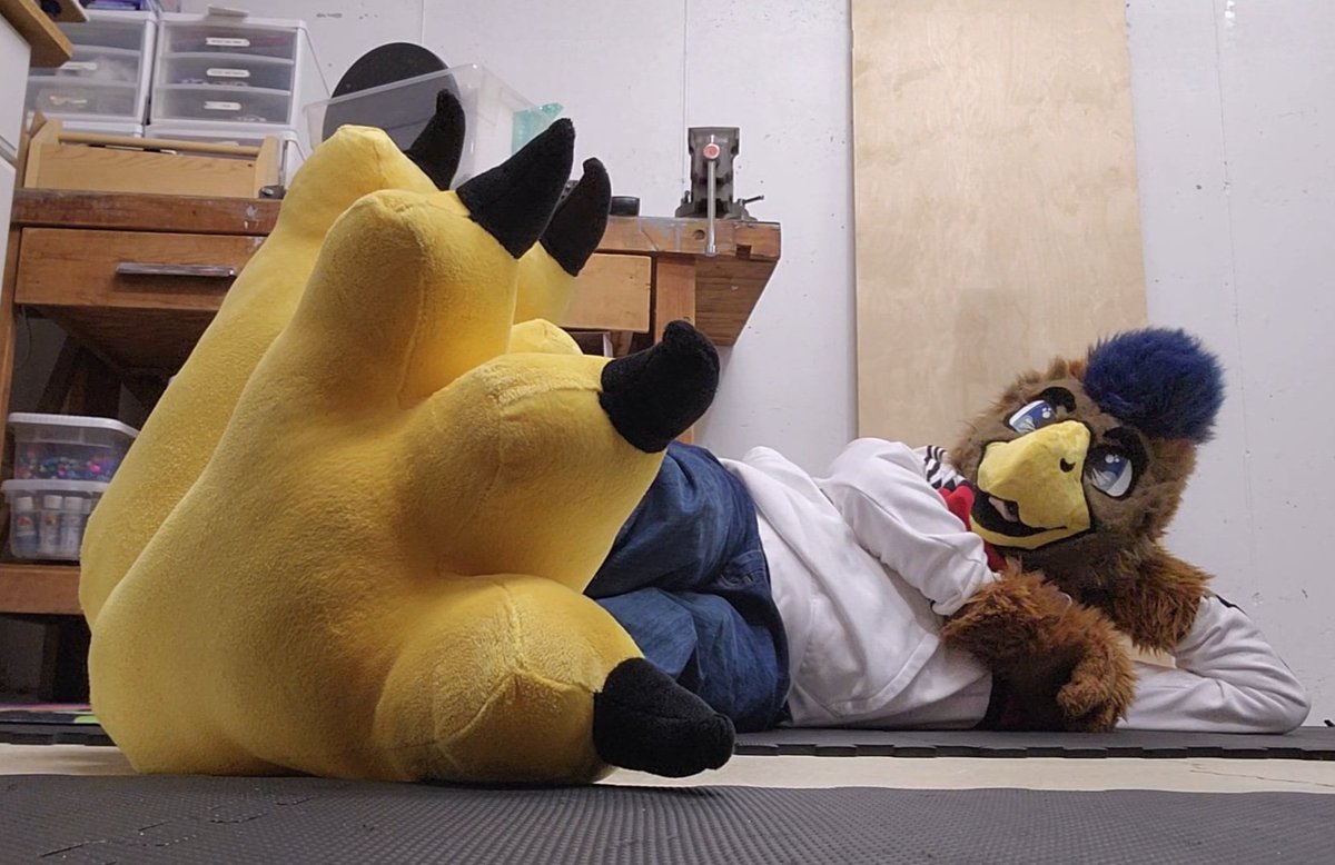 DonderHawk's tweet image. Getting a close-up

#TalonTuesday