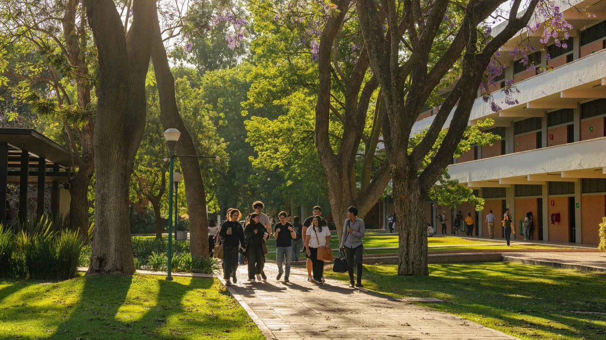 Entre Saberes ITESO tweet media