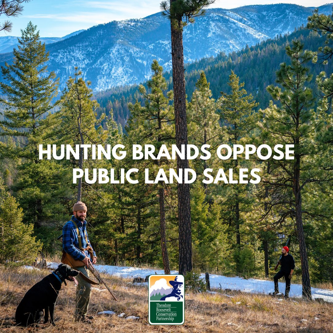 TheTRCP's tweet photo. TRCP applauds the 45 hunting industry businesses that sent a letter to leadership in the US Senate urging them to remove the proposal that would mandate the sale of up to 3 million acres of federal public lands in the budget reconciliation package. 

https://t.co/mRII1crzXp https://t.co/wgD3YoSbu9