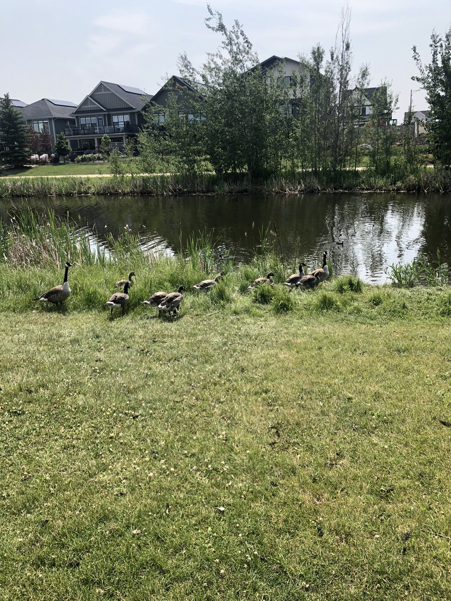 splendorousceliac tweet media