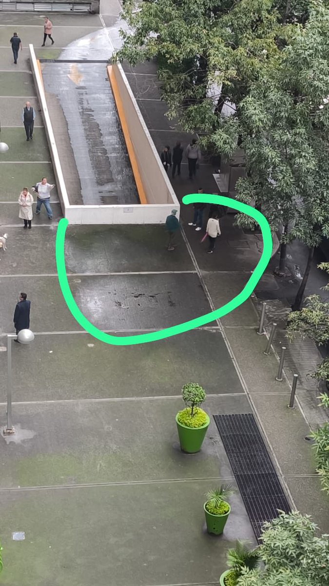 #ParquesPolanco 🌳 tweet media