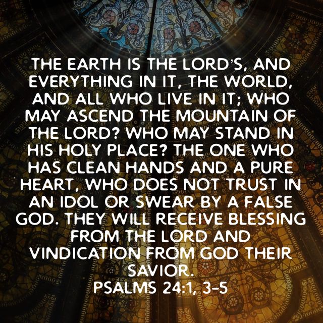 Stephen Kidde tweet media