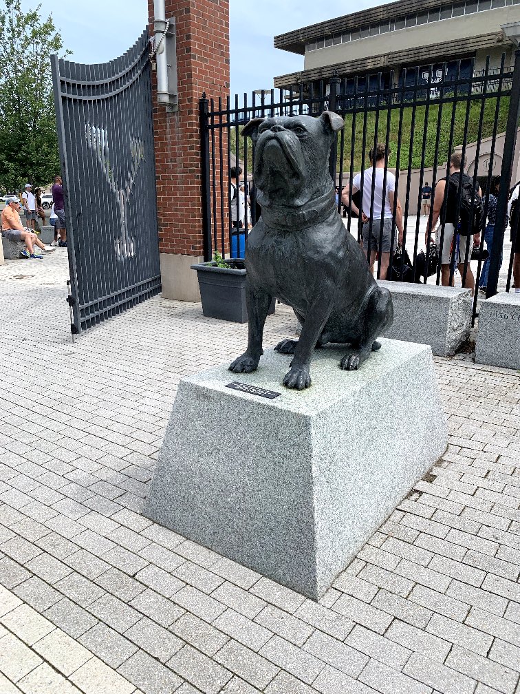 StephenCobb_MP's tweet image. I had a great @yalefootball camp experience. Always grateful for any opportunity to compete. Shout out to Coach Anderson for coaching me up. #Elite26 #RollDogs #DogsDontSweat
@CoachRenoYale
@coachjjanderson
@CoachBDT