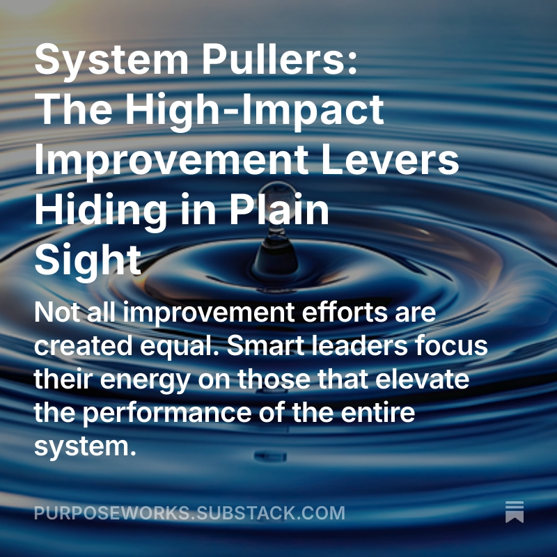 Not all improvement efforts are created equal. Smart leaders focus their energy on #systempullers that elevate the #performance of the entire system. 
#fixingwork #purposeworks