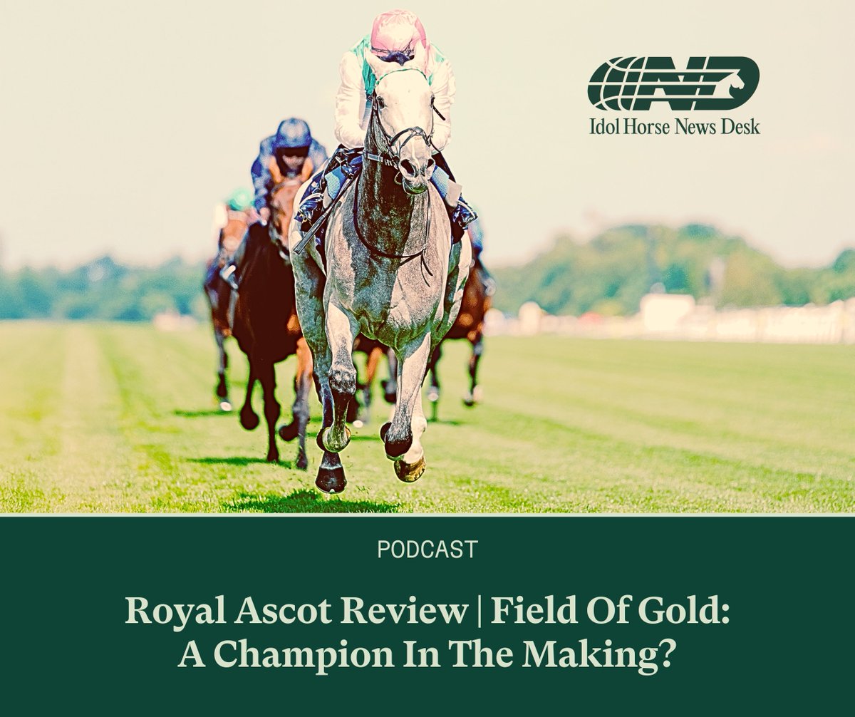 Who is the best three-year-old in the world? The Idol Horse team review the week that was Royal Ascot for 2025, including Field Of Gold's claim to be the world's top three-year-old. 

Listen to the latest episode of Idol Horse News Desk here: share.transistor.fm/s/ace400f7