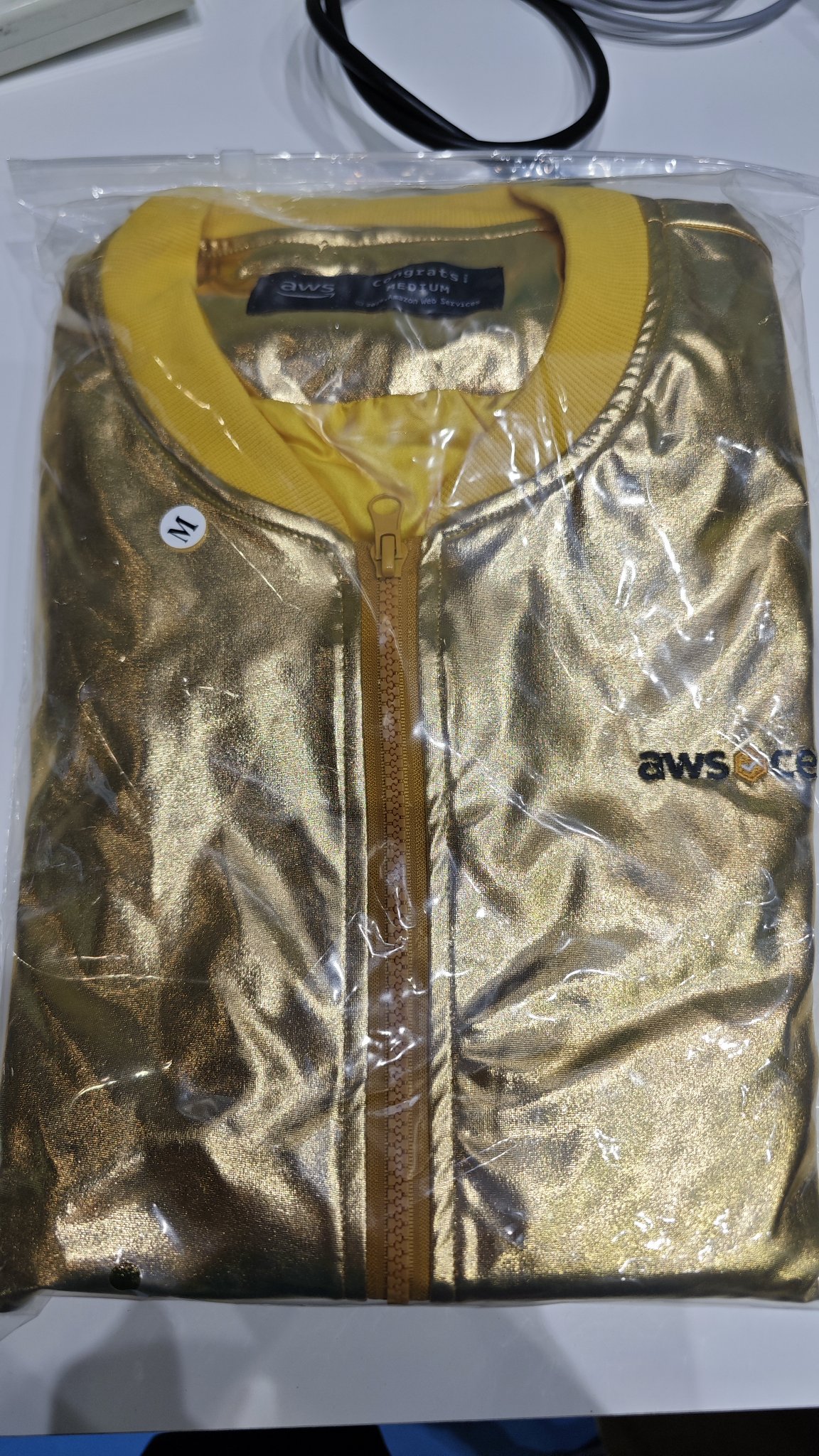 関送込◆Golden ◆ジャケット 楽天市場】GUCCI グッチ DSM ボンバージャケット ドラゴン 龍