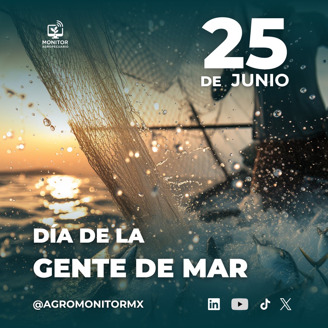 AgroMonitorMX's tweet photo. ⚓ Hoy es el #DíaDeLaGenteDelMar 🌊

En México, +2 millones de personas dependen de actividades pesqueras y marítimas (SIAP, INEGI).

Gracias a ellas, mantenemos viva nuestra #SoberaníaAlimentaria y #EconomíaAzul.

🌐 ¡Celebra y reconoce su esfuerzo diario!

#PescaSostenible https://t.co/HHpt9jyley