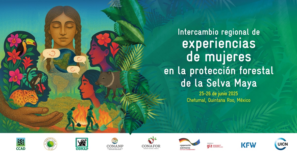 Mujeres combatientes y brigadistas de protección y sanidad forestal en #QuintanaRoo 🙋‍♀️👩‍🚒: la CONAFOR y la Cooperación Técnica Alemana #GIZ, las invita al Intercambio Regional de Mujeres en la Protección Forestal de la #SelvaMaya, este 25 y 26 de junio.

⏰Entrada 8:30