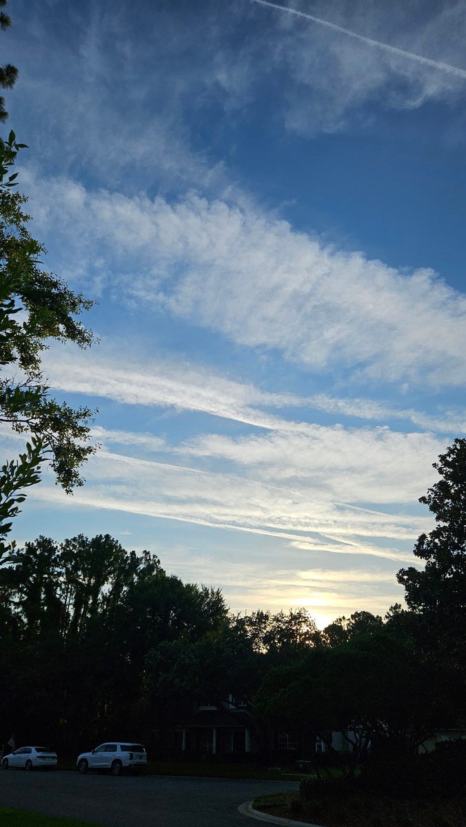 KittyWhiskers54's tweet image. @GovRonDeSantis
What's happening?
#Chemtrails 
#GeoEngineering